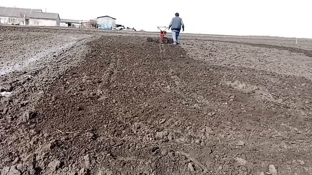 Роторная борона, с каточком. готовим огороды 👍 смотреть онлайн