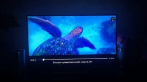 Мой эксперимент очки 3D и телевизор с функцией 3D