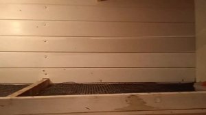 БРУДЕР ДЛЯ УТЯТ, ЦЫПЛЯТ, ГУСЯТ. Выращивание утят в брудере.