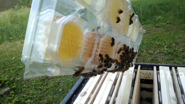 Панский Сот Постановка магазинов к семье. смотреть онлайн