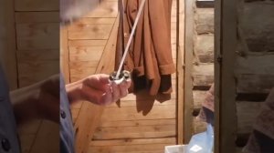 Осеменение тёлки, рекомендации осеменатора.