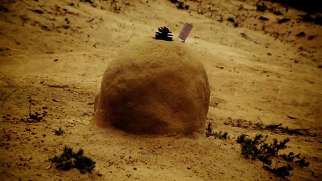 77 Fourmi rose Рози смотреть онлайн