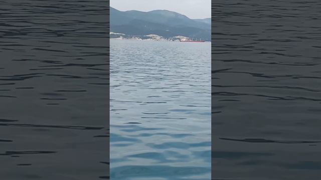 Прогулка в открытое море! смотреть онлайн