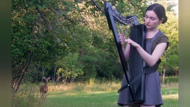 ?...ОЧЕНЬ КРАСИВАЯ ИГРА НА АРФЕ...?