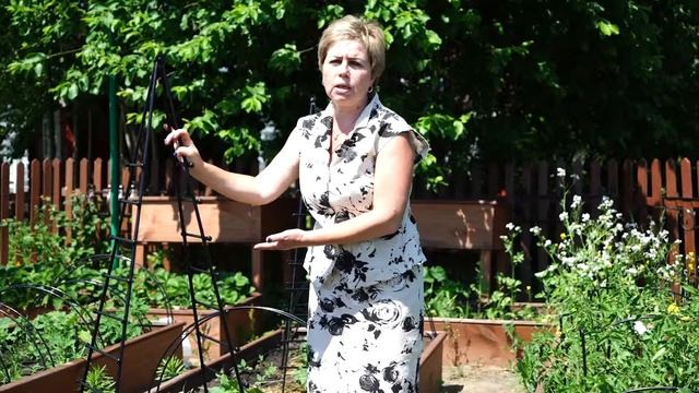 Шпалера для огурцов в садовом центре ХитСад