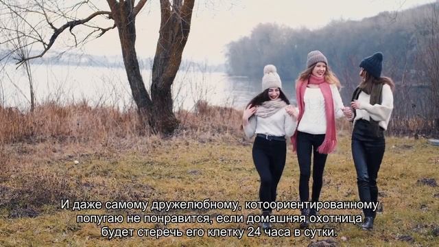Как соблюдать психологические границы попугая? смотреть онлайн