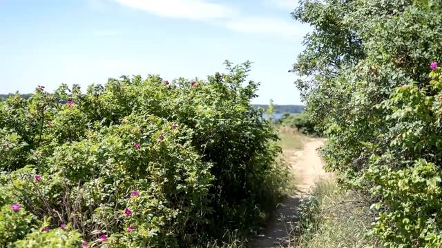 Как часто причащаться. Об унынии, посте и молитве дома. Преп. Варсонофий. смотреть онлайн