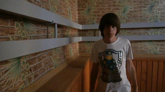 Как сдать ГИА если ты ленивая курица? смотреть онлайн