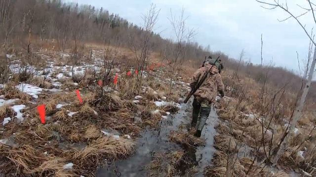 На встречу с волками смотреть онлайн