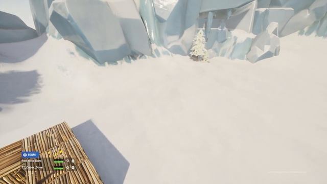 Fortnite_20201228211444