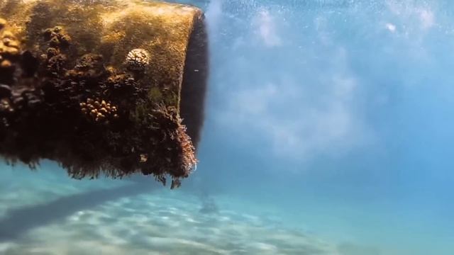 Сможет ли опреснение воды утолить мировую жажду? смотреть онлайн