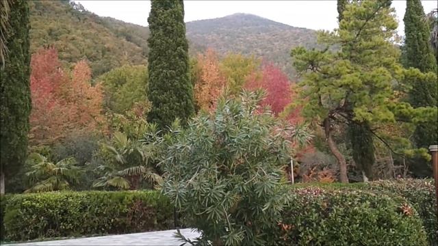 Эльвира Бушуева "Между зимой и летом" (2021) смотреть онлайн