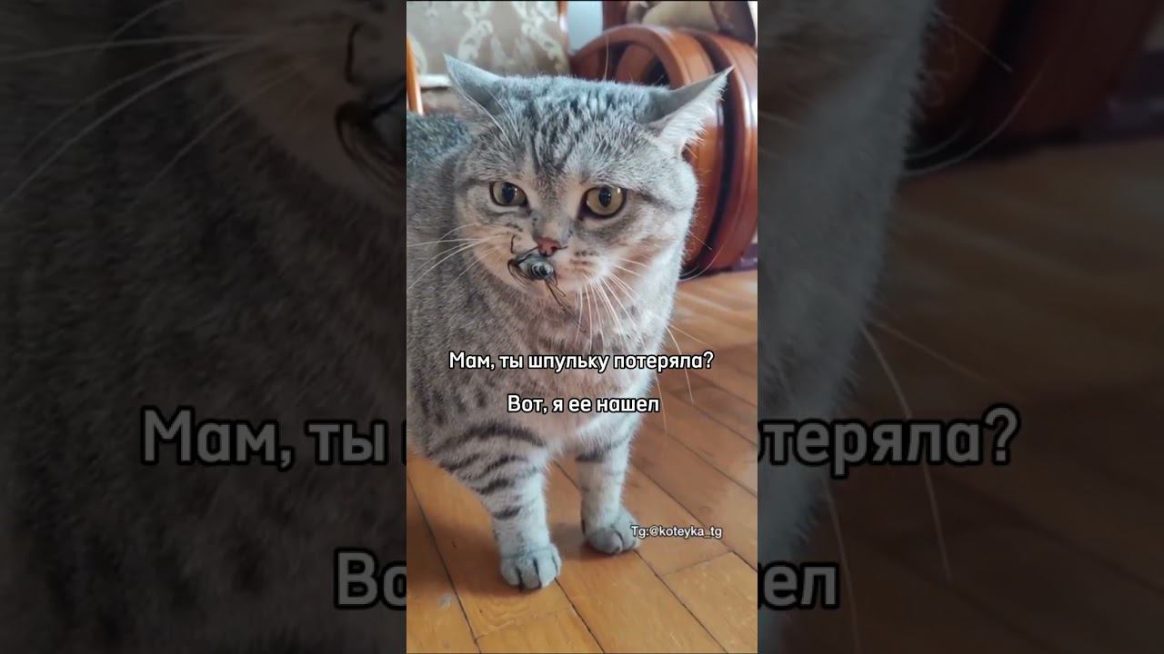 Сайт: Выкройки-легко.рф