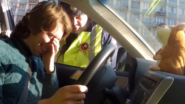 Хомяк троллит мусора Hamster Trolls Policeman смотреть онлайн