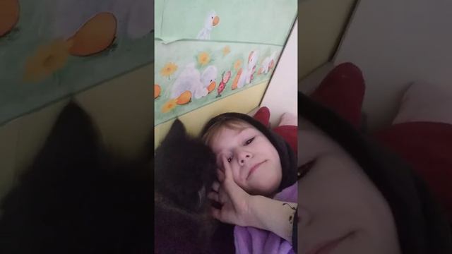 Кис-кис с моей кошкой Ксюшей. смотреть онлайн