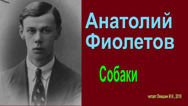 Анатолий Фиолетов - Собаки смотреть онлайн