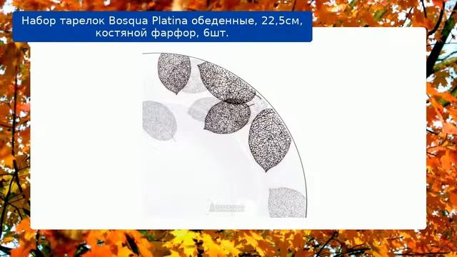 Набор тарелок Bosqua Platina обеденные, 22,5см, костяной фарфор, 6шт. обзор смотреть онлайн