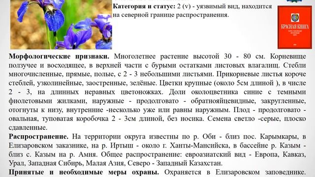 Красная книга ХМАО смотреть онлайн