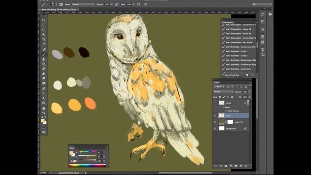 Barn owl Speed Paint смотреть онлайн