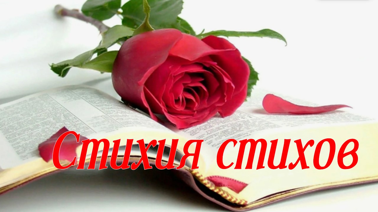 Стихия стихов. Литминутка смотреть онлайн