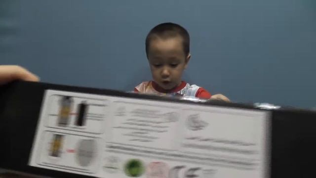 странные и необычные пауки, самый страшый паук тарантул, паук птицеед смотреть онлайн