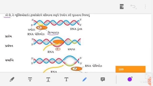 Std 12 Science Biology CH 6 PART:10 #R.B.MADAM смотреть онлайн