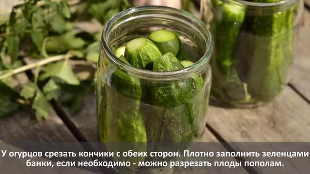 Маринованные огурцы на зиму