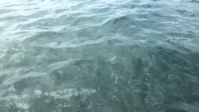 СОЧИ -2019? ТЁПЛОЕ МОРЕ +28 ГРАДУСОВ ? смотреть онлайн