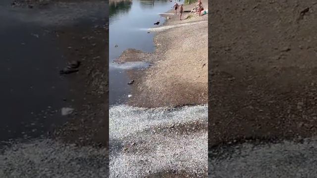 Святые источники смотреть онлайн