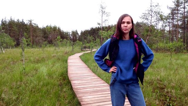 Сестрорецкое болото. Экологическая тропа смотреть онлайн