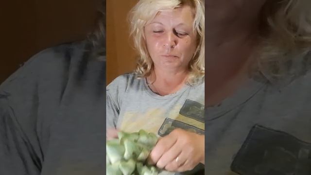 Мастерство и Спонтанность