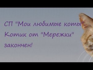 СП "Мои любимые коты" Котик от "Мережки" закончен!