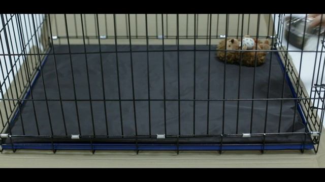 Клетка номер 4 (LEO) смотреть онлайн