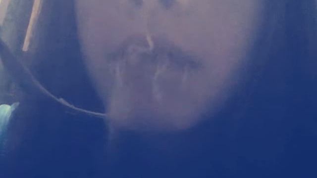 ♥ мивина ♥  :D