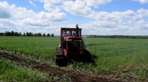 Трактор ДТ-54А