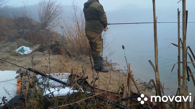 Ловля карася поздней осенью #карась#беларусь#рыбалка смотреть онлайн