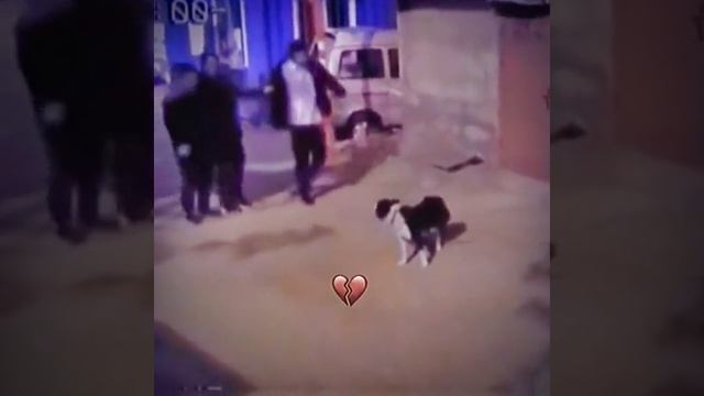 хчхахавххвхааххвхахаха смотреть онлайн