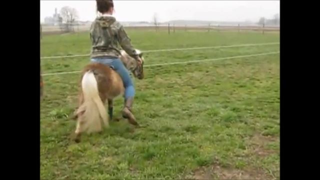Girl on fanny pony смотреть онлайн