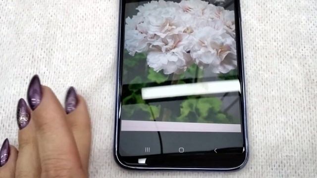 #253.Суперновинки-шедевры от российского селекционера Ирины Яшиной! Мои обновочки! смотреть онлайн