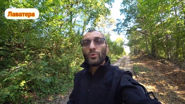 Цветы которые лучше сажать осенью смотреть онлайн