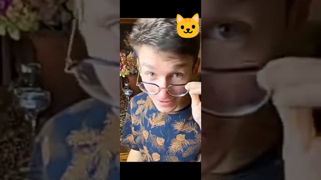 Симба Старший ходит по маленькому в туалет #светлаяпамятьсимбочки смотреть онлайн