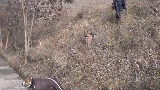 Прогулка. Одесса 29 января 2019г смотреть онлайн