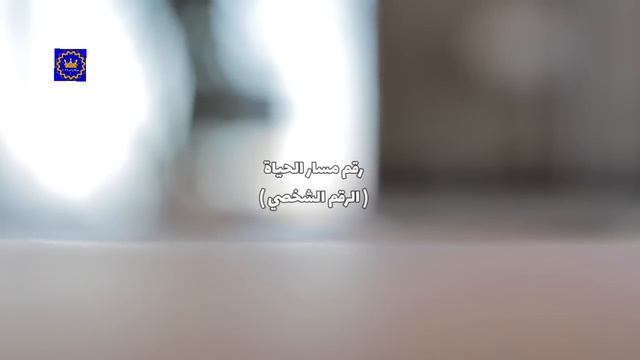 الباب الطاقي 11/11 جذب اهداف 2023 فكن مستعد من الآن смотреть онлайн