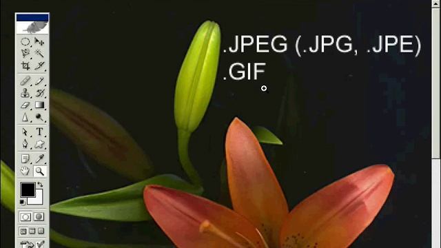 Форматы графических файлов для Web. Урок 50 смотреть онлайн