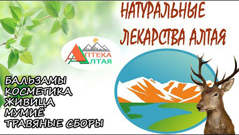 Аптека Алтая. Натуральные лекарства.