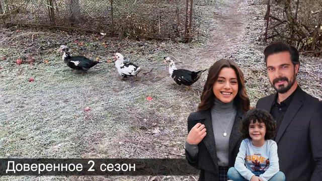 ДОВЕРЕННОЕ! Халил Ибрагим победил. Когда ее поклонники узнали об этом! смотреть онлайн