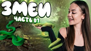 Змеи // образовательные видео Valynha