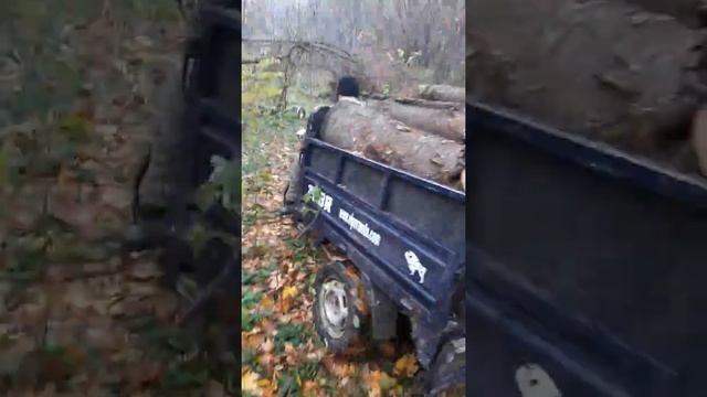 Муравей 4т Vaiper zubr 200cc муравей китайсский! смотреть онлайн