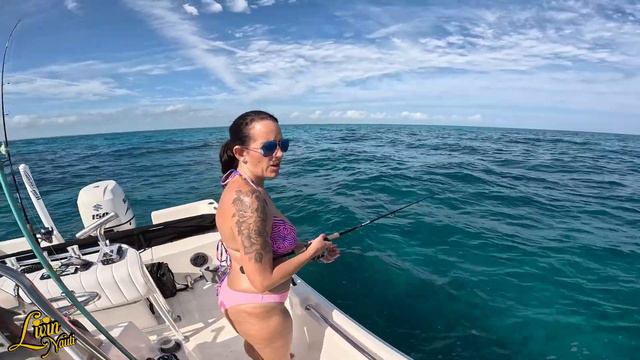 Florida Keys Fishing Patch Reefs | Yellow Jack Catch & Cook Inshore Fishing Marathon PT1 смотреть онлайн