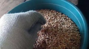 Кормление кроликов от А до Я.